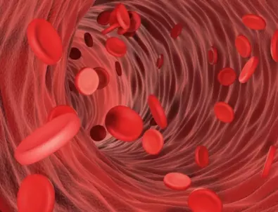 Витамините и храните, които разреждат кръвта