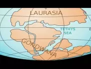 Кои днешни континенти са били част от Лавразия