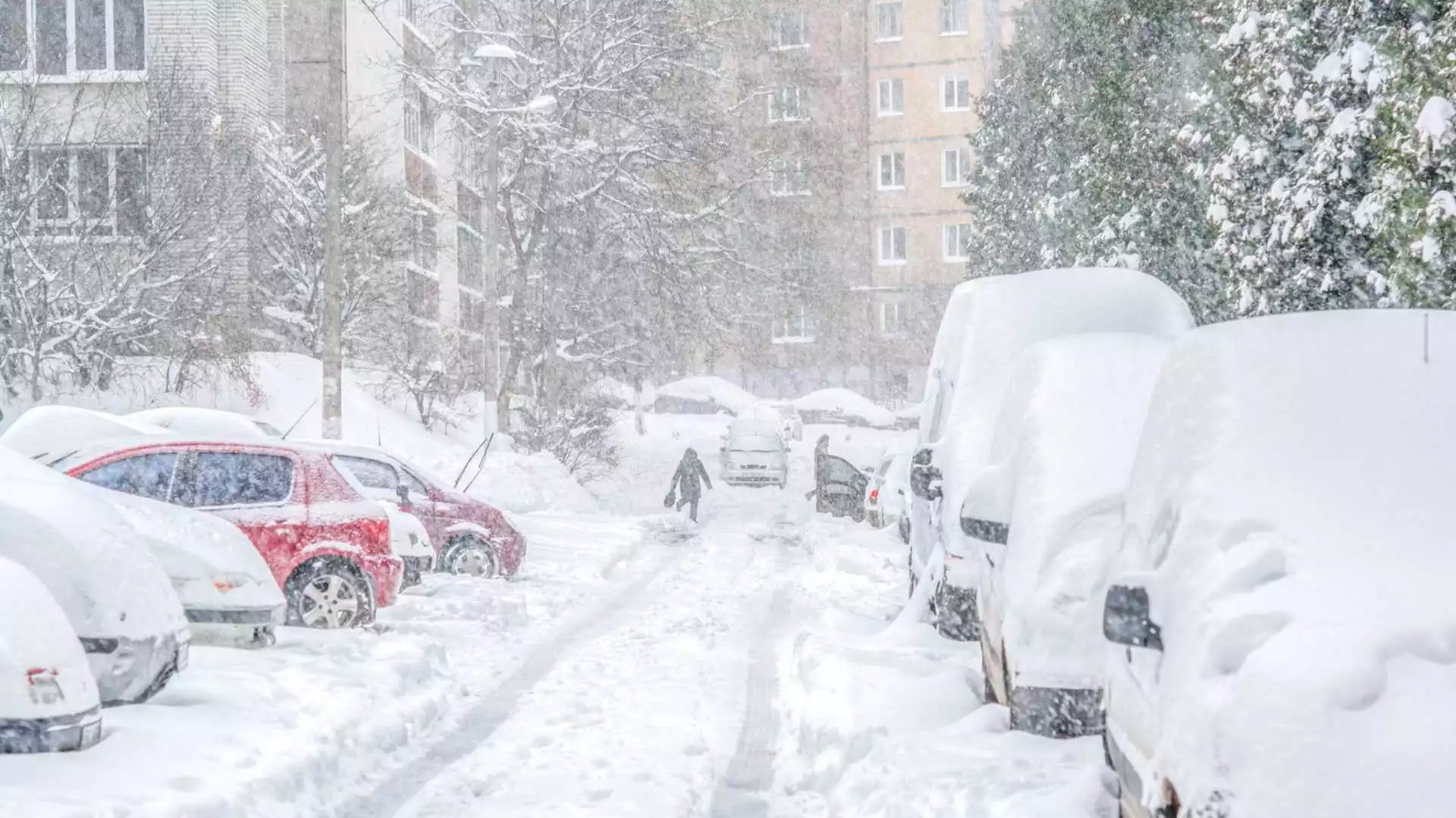 Обилен снеговалеж в Германия, има загинал 