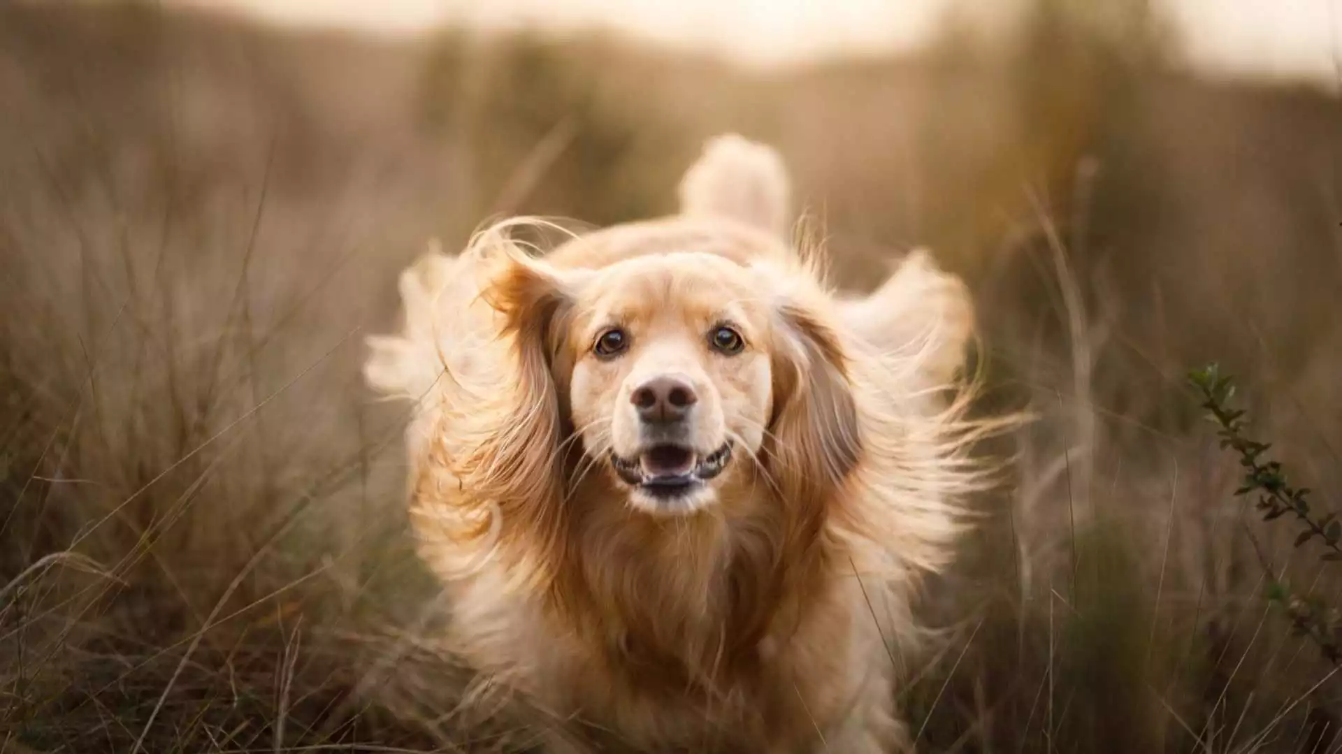 Прогноза за времето - 22 април 2024 г. (понеделник)