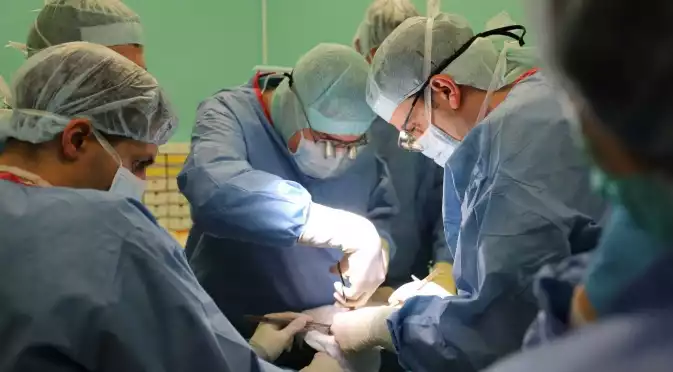 В Испания направиха 48 трансплантации само за денонощие