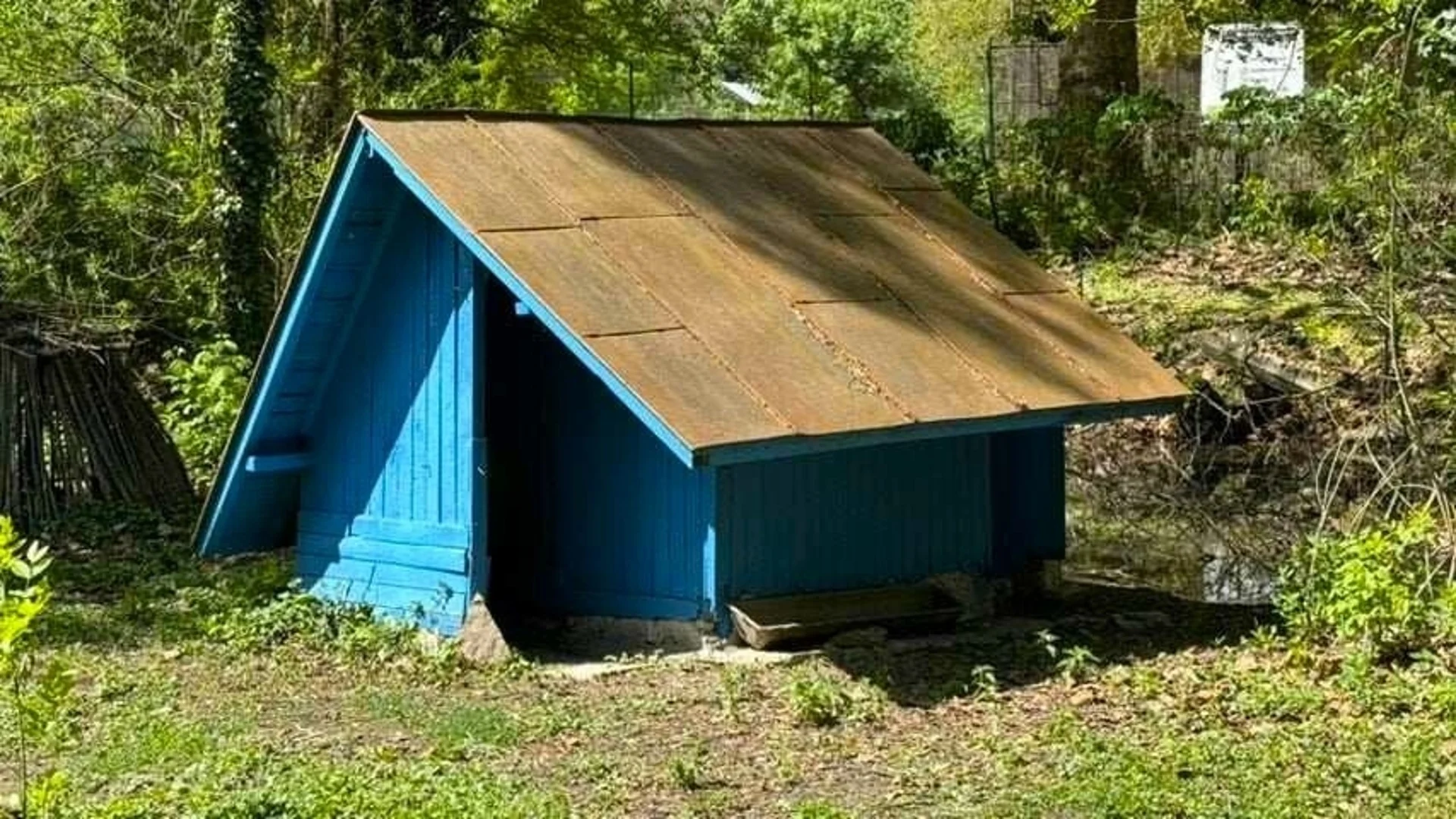 Доброволци с нова акция за облагородяване на зоопарк „Кайлъка“ - чистиха и боядисваха клетки, смениха стари табели с нови