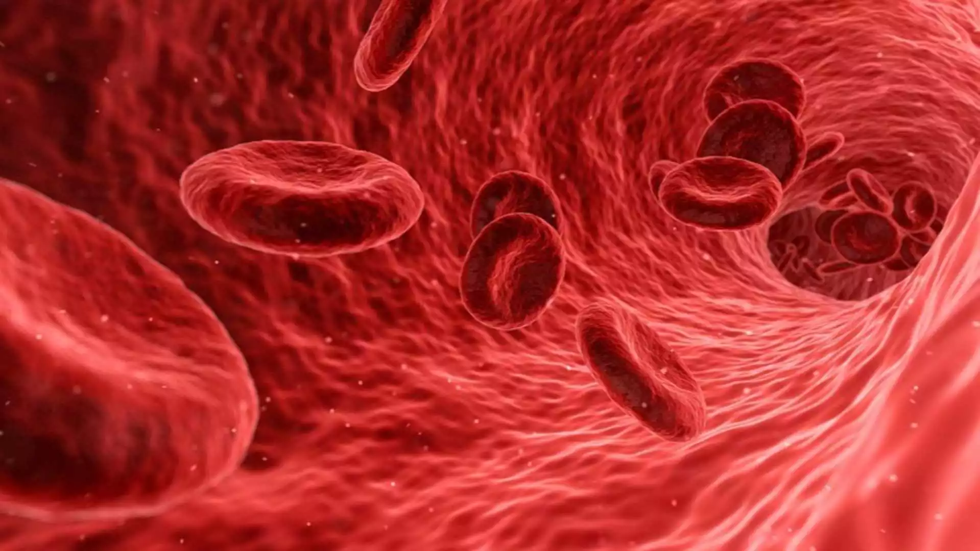 Смъртоносни вампирски бактерии са привлечени от кръвта ни: Учените откриха защо