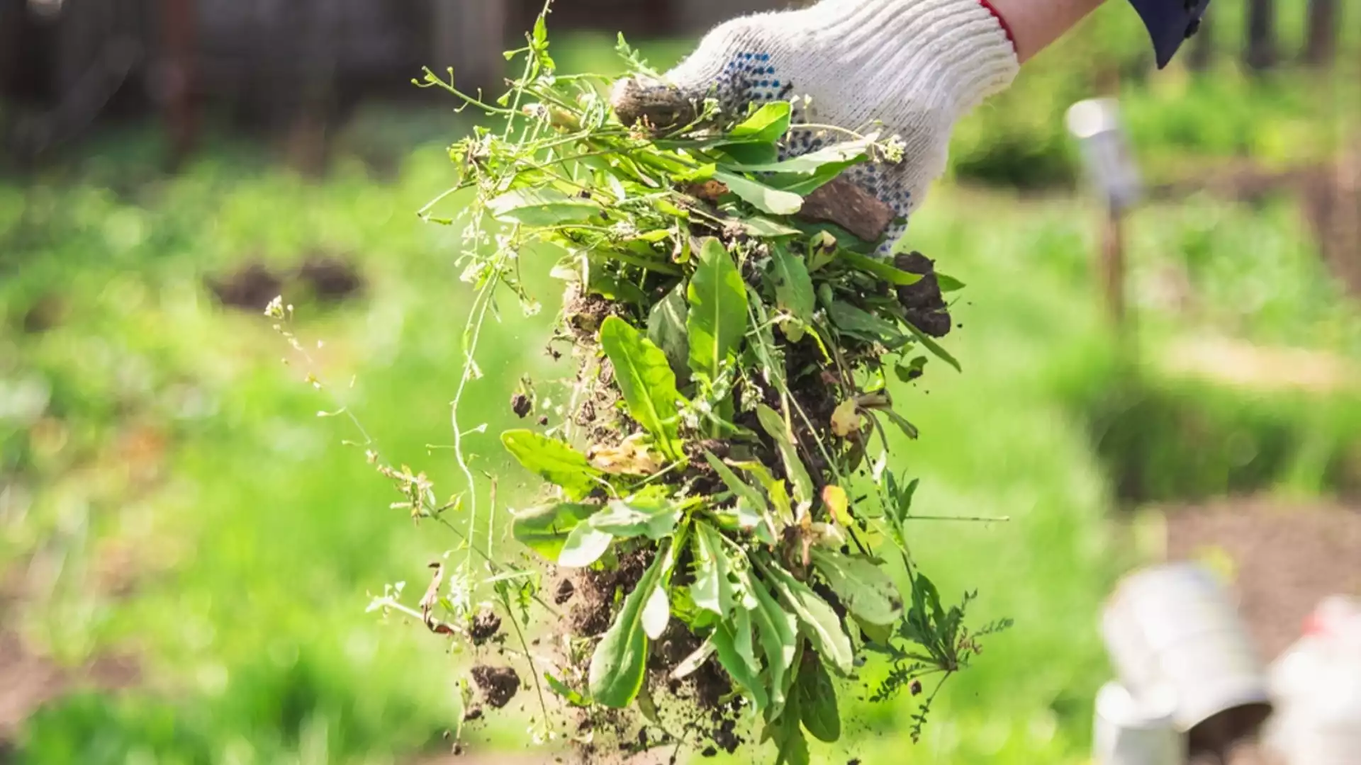 Ето как да ограничите разпространението на плевели в градина