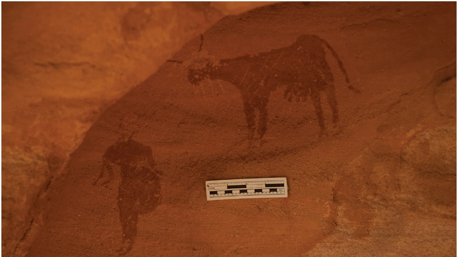Скални рисунки в Судан разкриват историята на предците на древните египтяни