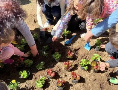 Деца от Самоков се включиха в кампанията на общината за засаждане на цветя (СНИМКИ)