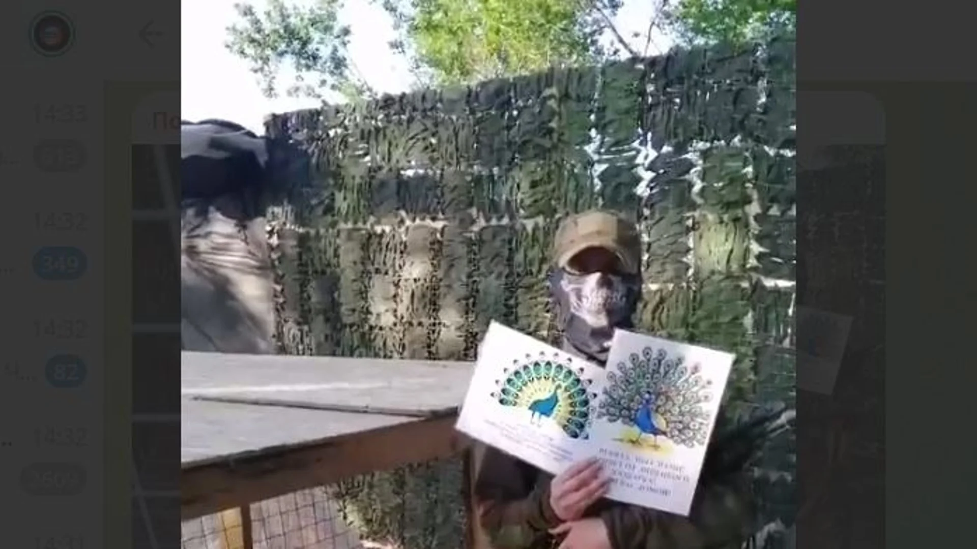 Руски зоопарк изпрати на фронта два пауна за "духовно успокоение" на военните (СНИМКИ)