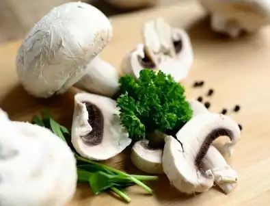 Как да си направим мицел за печурки?