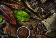Черни дни за шоколада: Ключова съставка в него с историческо поскъпване 