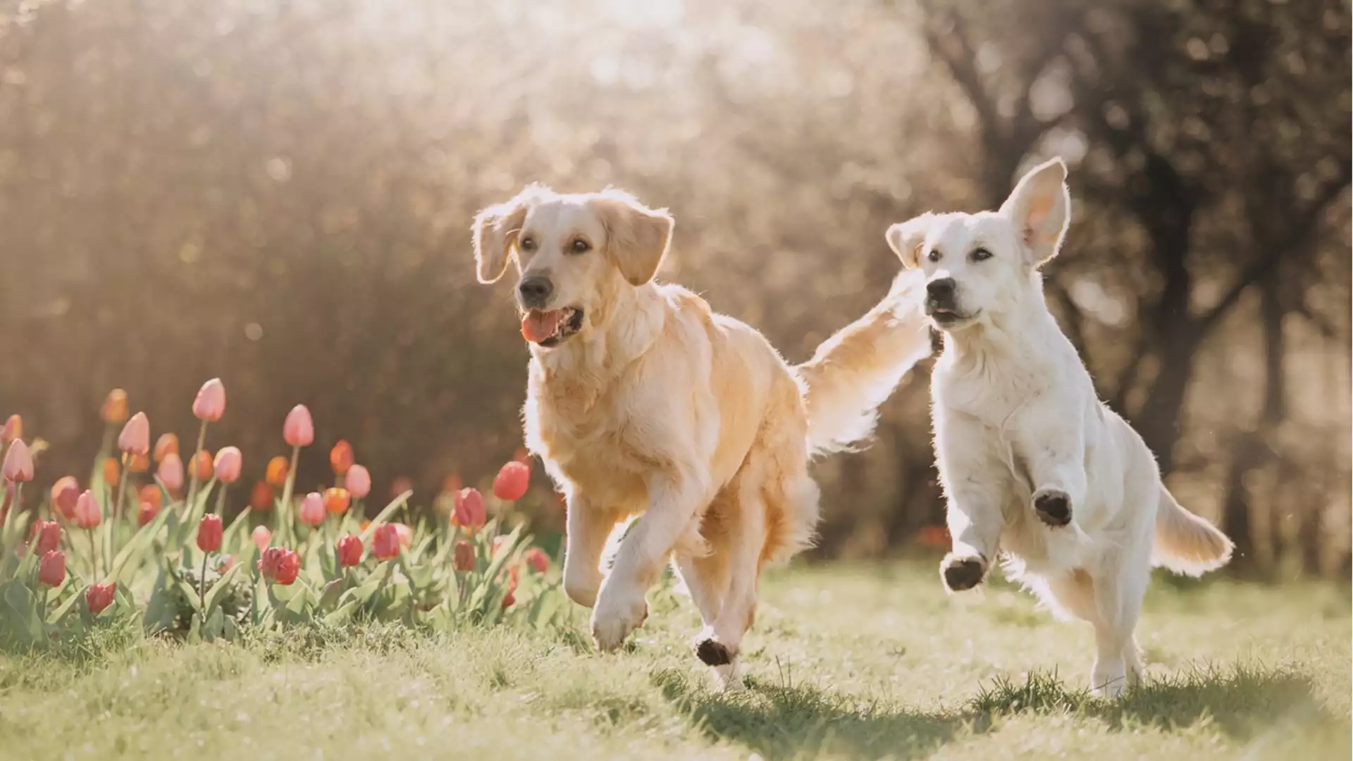 Прогноза за времето - 17 май 2024 г. (петък)