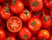 Как се прави пикиране на домати в кофички? 