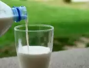Защо и как опитните градинари използват мляко в градината