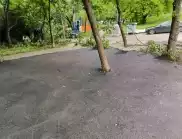 В столичен квартал квартал асфалтираха дървета (СНИМКИ)