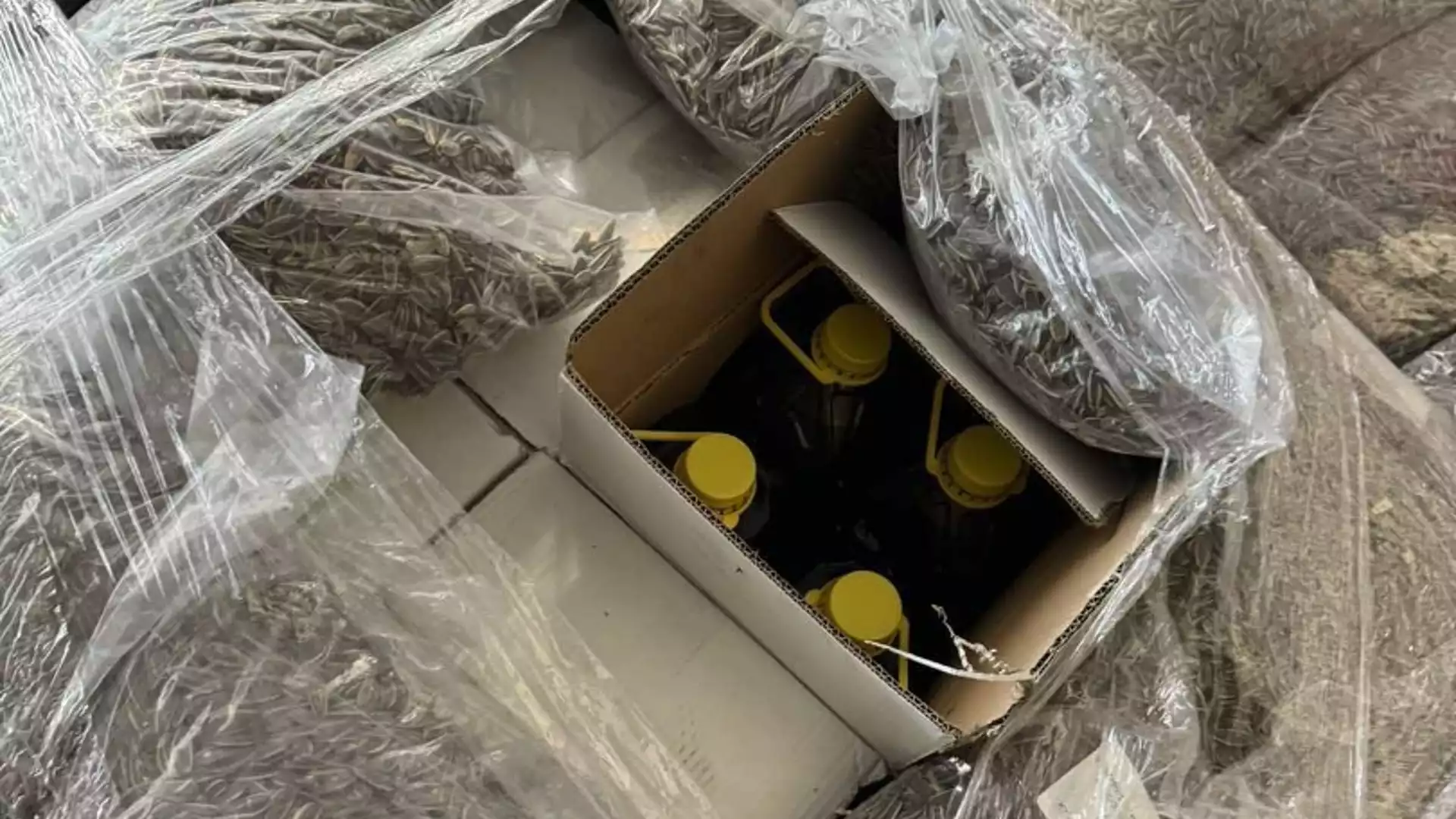 Задържаха над 3000 литра контрабанден зехтин на границата с Турция