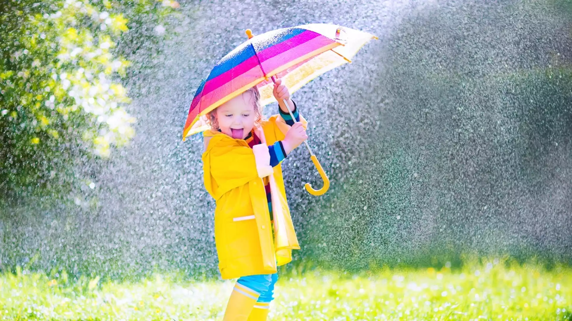 Прогноза за времето - 20 май 2024 г. (понеделник)