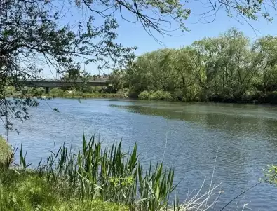Започна дългоочакваното почистване на река Марица
