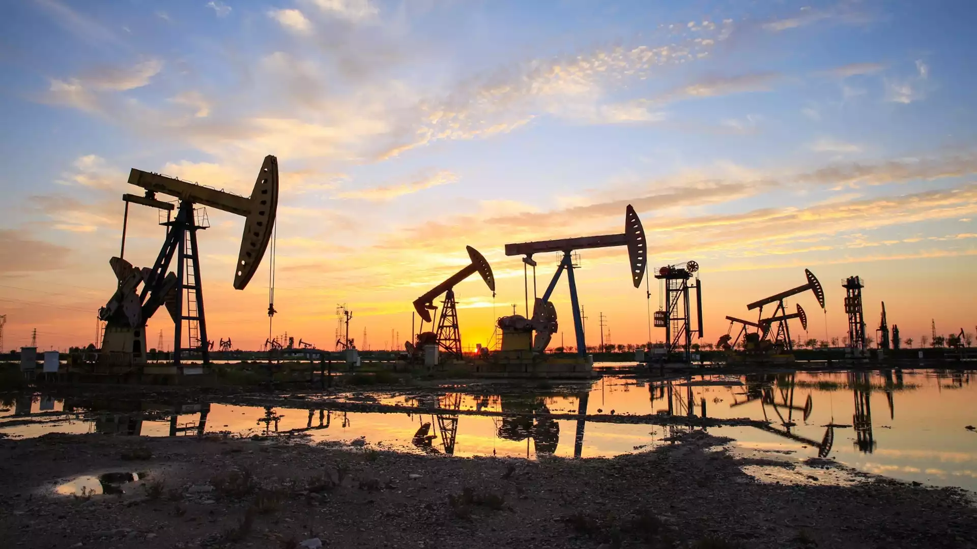 Цените на петрола претърпяха обрат на фона на високите лихви в САЩ 