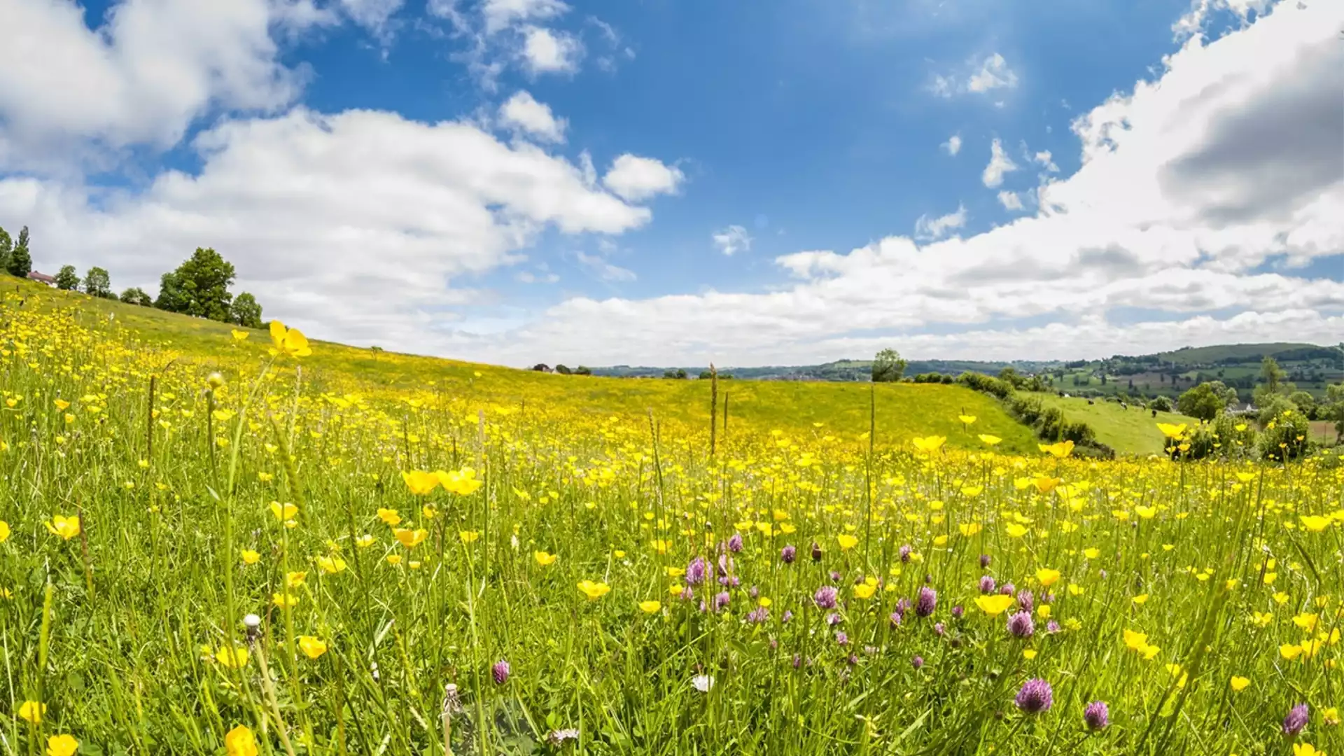 Прогноза за времето - 22 май 2024 г. (сряда)