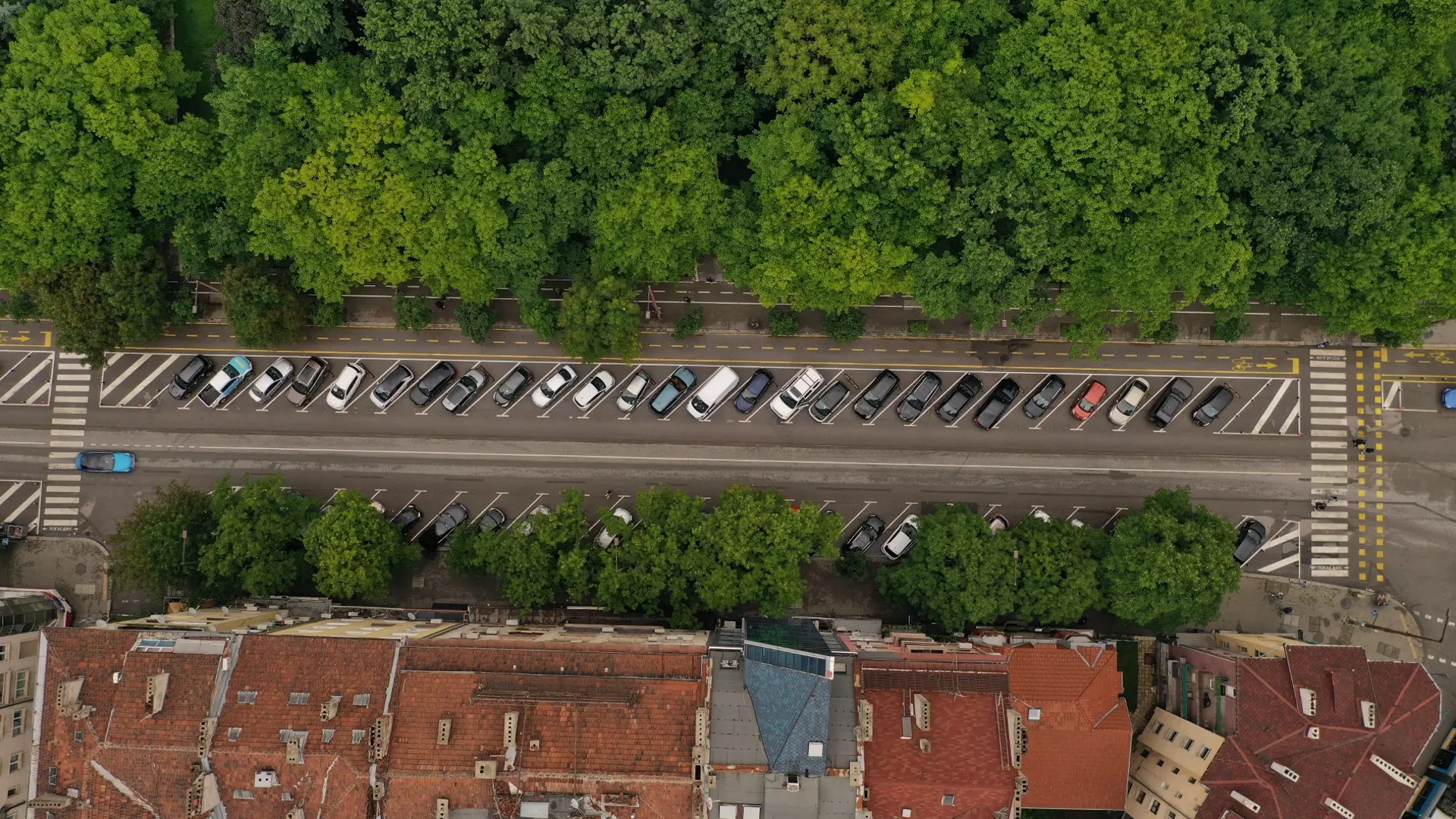 Близки на загинали на пътя протестират в София