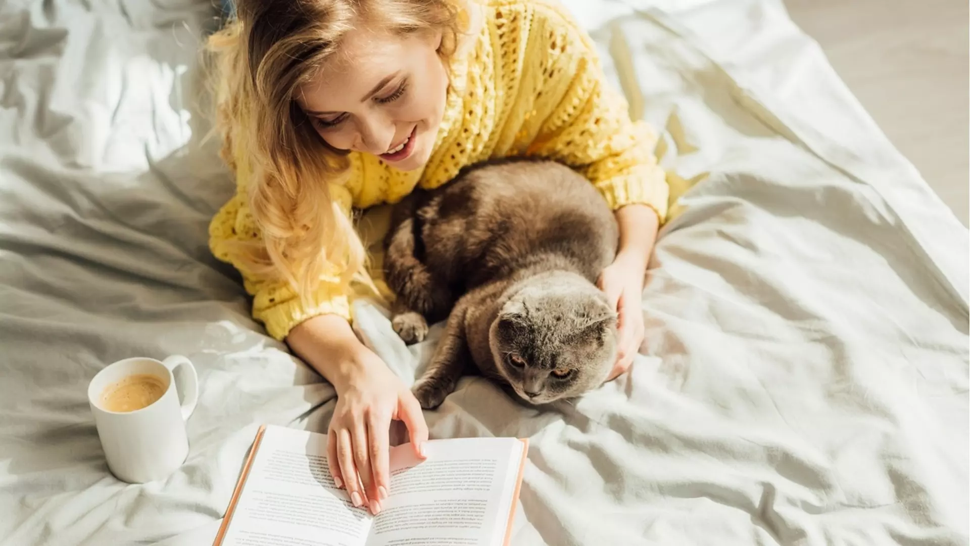 Прогноза за времето - 24 май 2024 г. (петък)