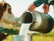 Млекопроизводители от различни краища на Европа излизат на протест в Брюксел