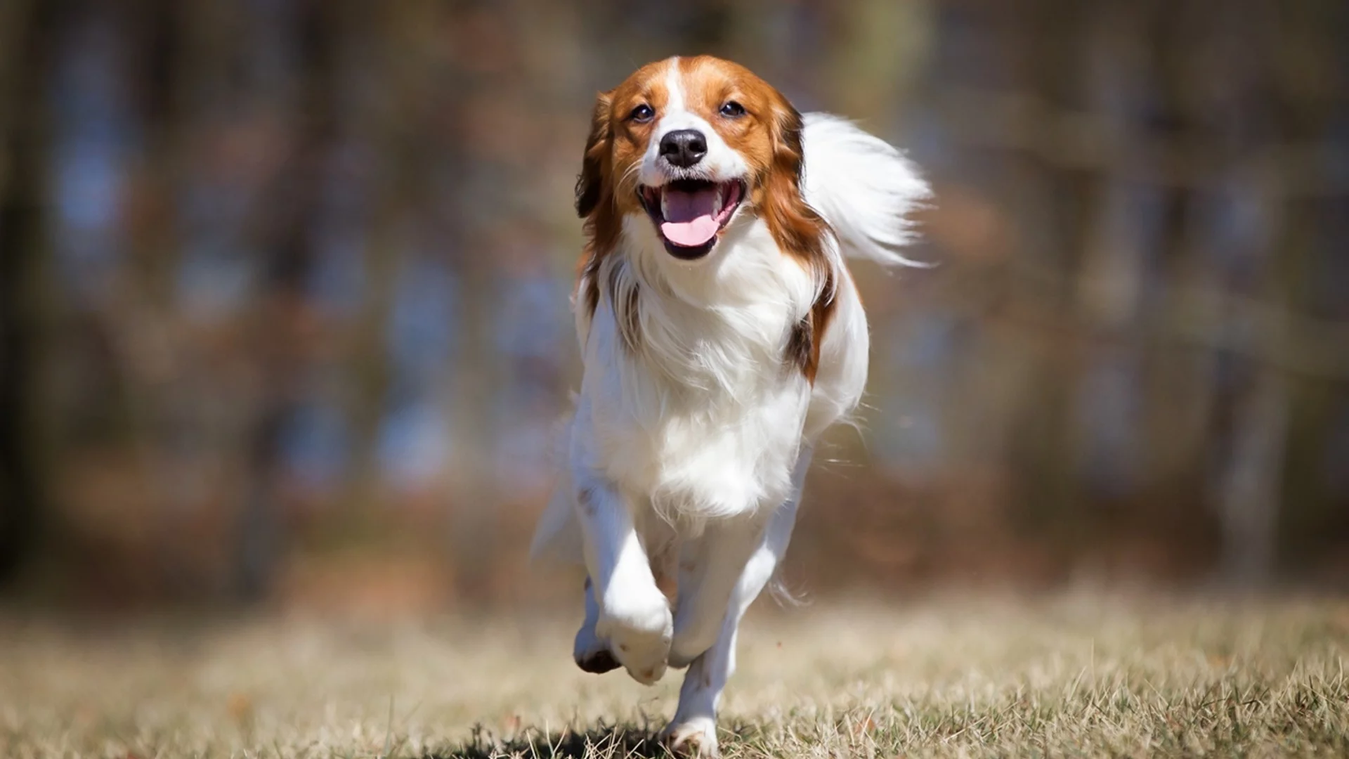 Прогноза за времето - 28 май 2024 г. (вторник)