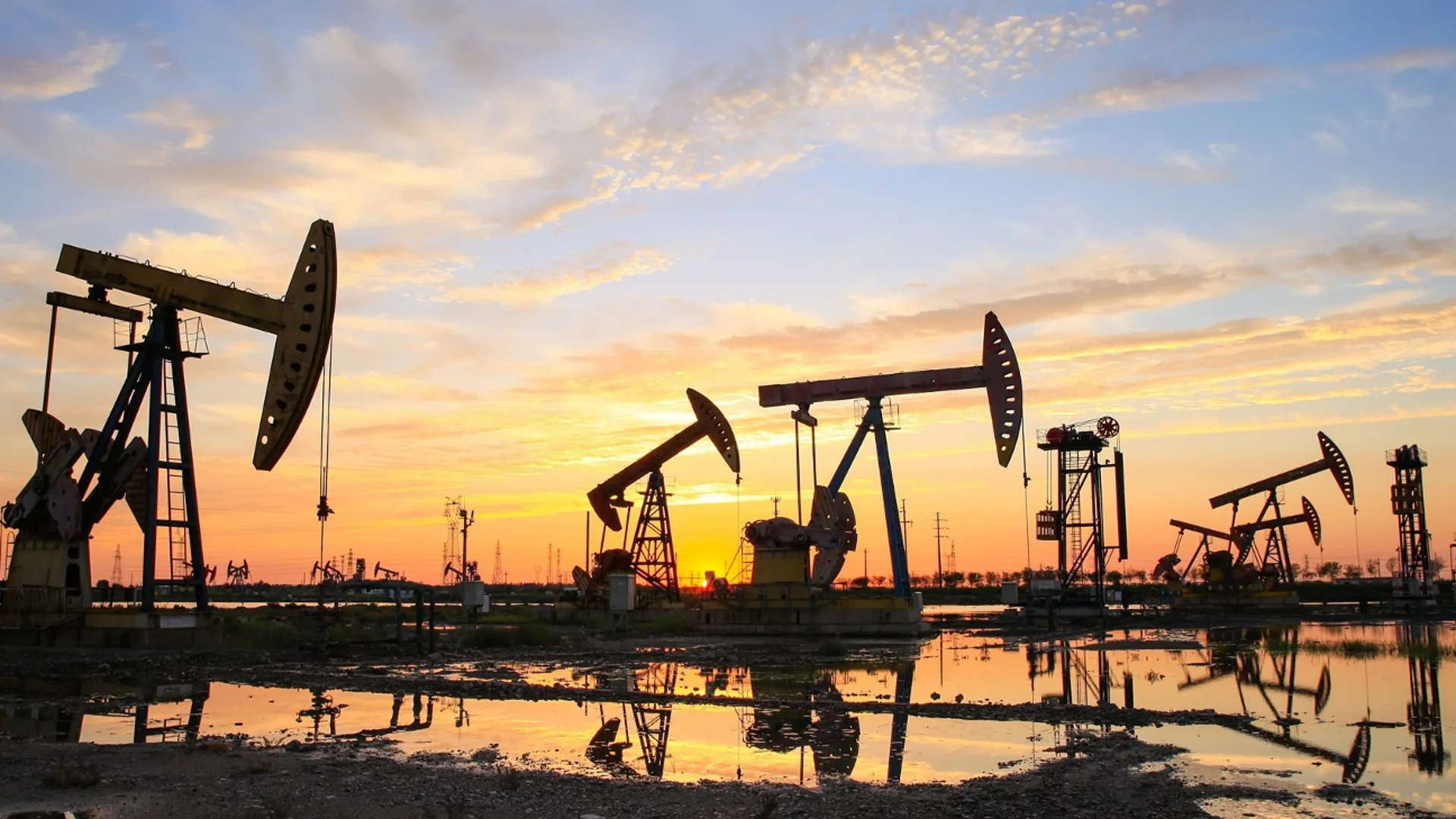 Сериозни разногласия в ОПЕК+ относно квотите за добив на петрол