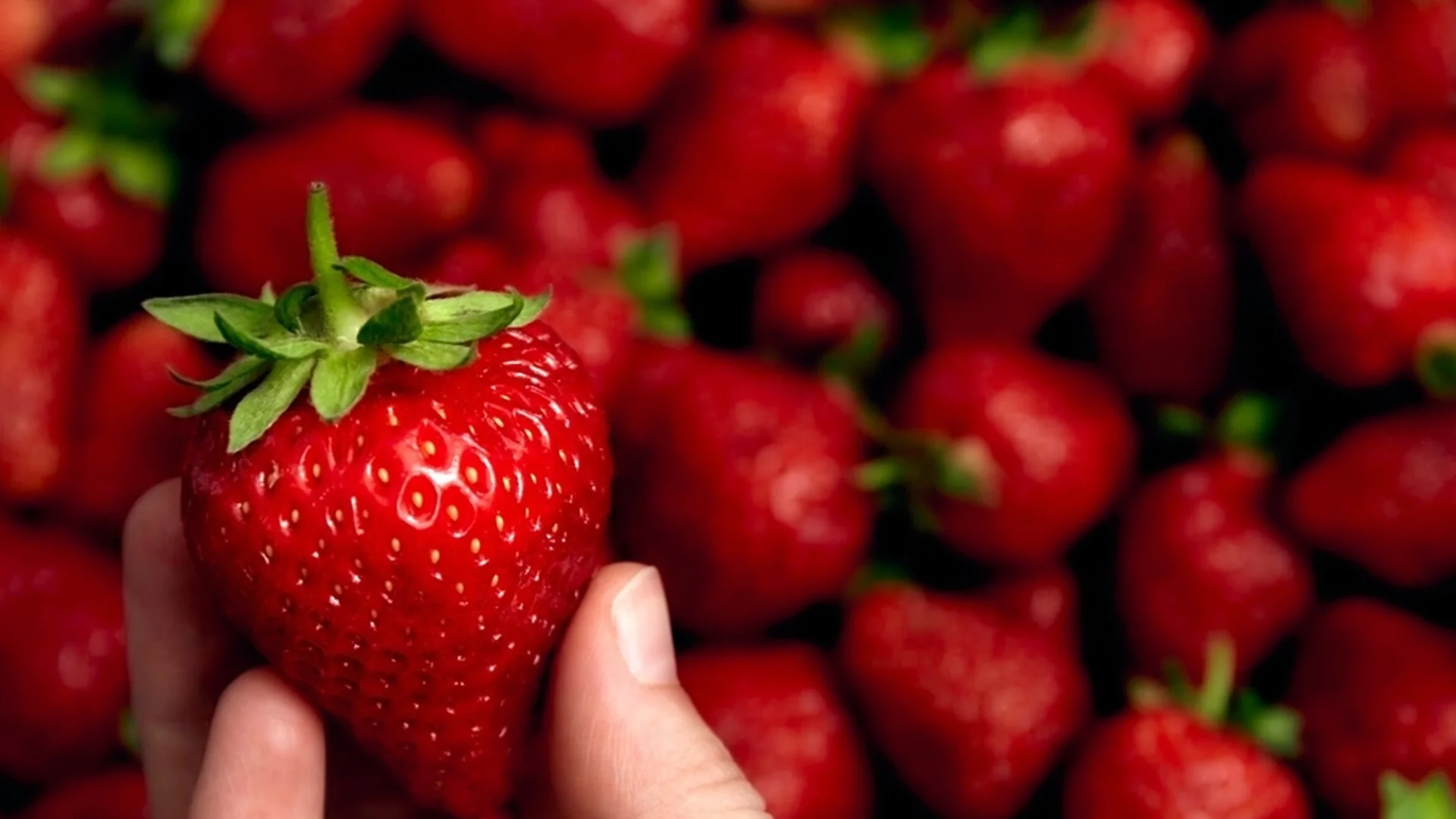 Как да познаете ягодите, които са пълни с нитрати