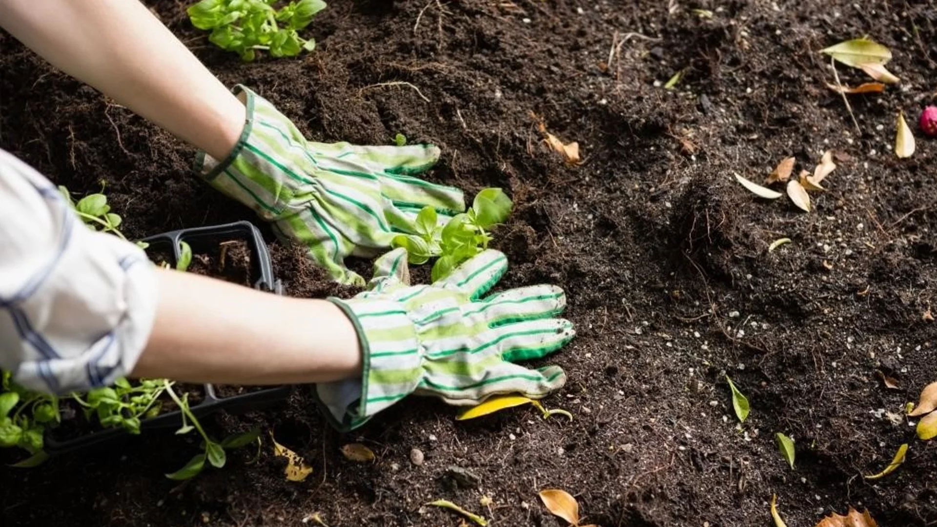 Чести грешки, които влошават качеството на почвата във вашата градина