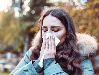 Тополовият пух не е алерген, но с какво вреди?