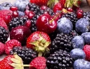 5 прости съвета за богата реколта от горски плодове