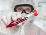 Спад в броя на новите случаи на коронавирус за денонощие