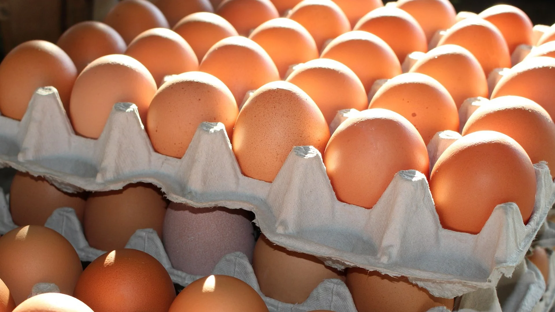 В Русия ближат яйцата в магазините, за да се заразят със салмонела: Заради обещана компенсация 