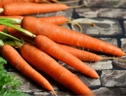 Защо не трябва да се прекалява с консумацията на моркови?