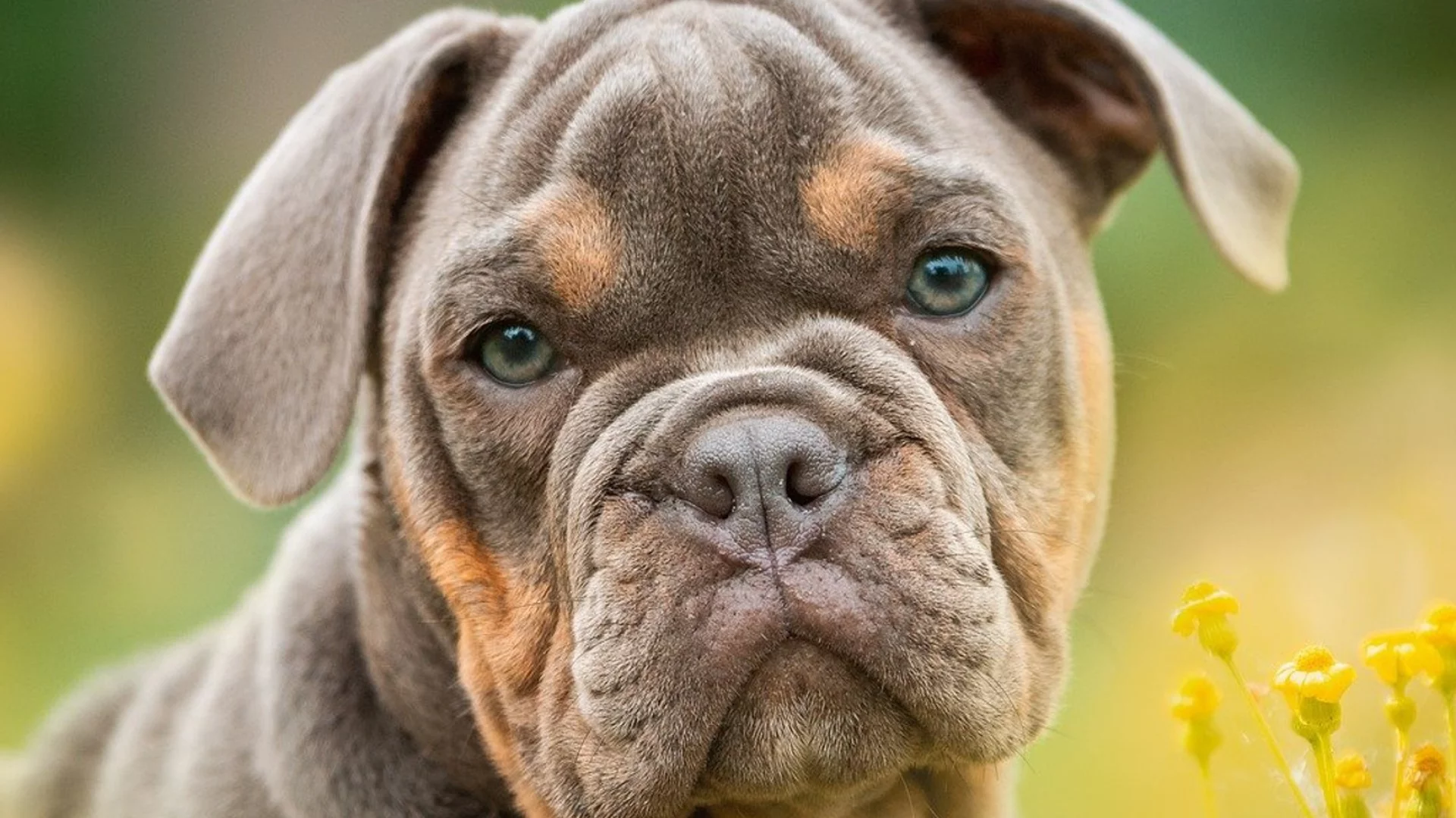 Огромно куче нахапа коминочистач във Великобритания (СНИМКА)