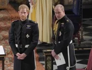 Кралски експерт: Хари може да е заплаха за короната на Уилям