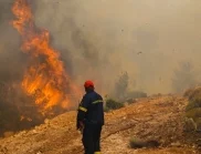 Атаките между "Хизбула" и Израел предизвикаха огромни горски пожари (ВИДЕО)