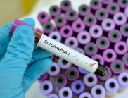 Коронавирусът в България: Около 1% от пробите са положителни