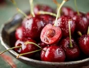 Ето как да се справите с плодовите червеи по череши, вишни и сливи