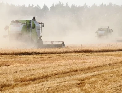Сянка на глад: Огромни щети в реколтата от зърно в Русия