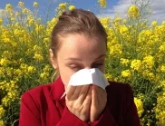 6 естествени антихистамини за помощ при алергии