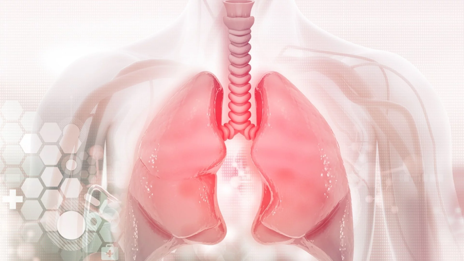 За здрави бели дробове: кои храни са най-полезни