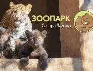 Лятно зооучилище организира за втори път Стара Загора