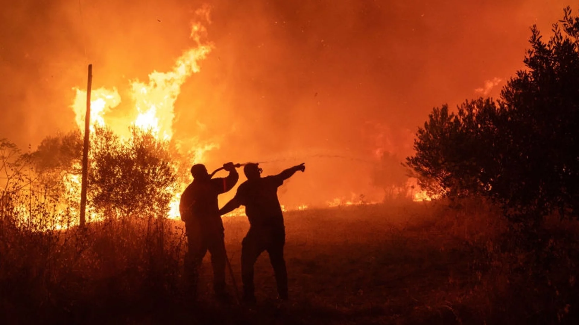 Горски пожари бушуват в щата Невада, САЩ, в Кипър втори ден не смогват да гасят (ВИДЕА)