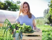 9 зеленчука, които не е късно да засадите през юни