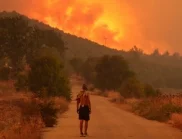 Земеделците в Кипър получават обезщетение заради пожарите