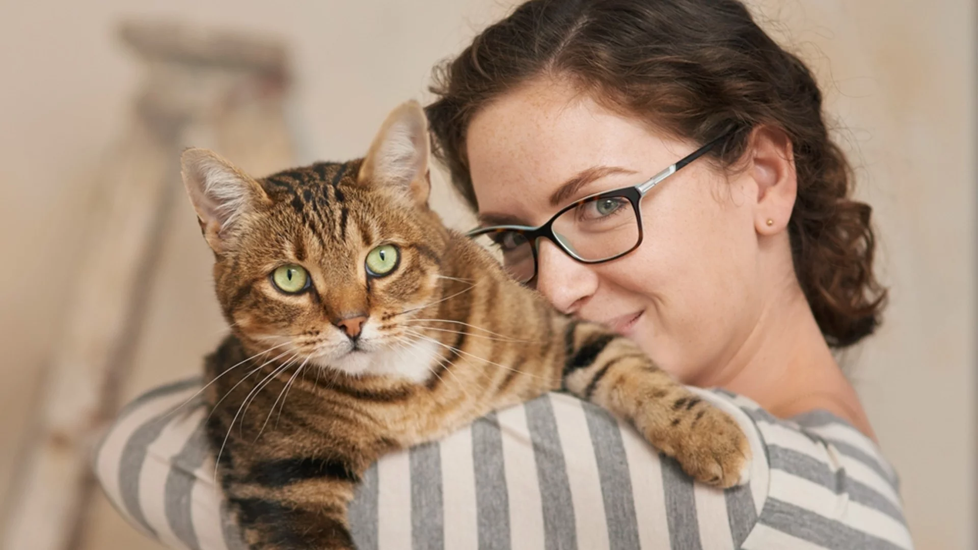 Пазете се от тях: 13 неща, които представляват реална заплаха за живота на вашата котка