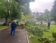 Над 200 дежурни екипи отстраняват щетите в Русе след снощната буря