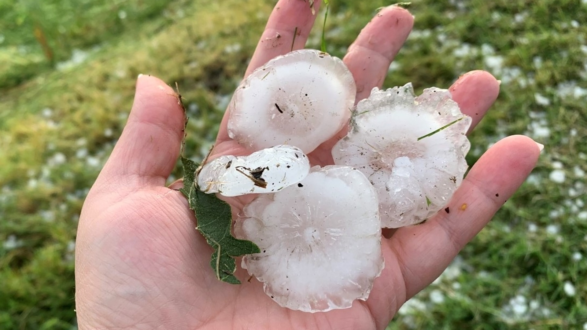 Бедствено положение: Градушка удари Нова Загора (ВИДЕО)  | Actualno.com   