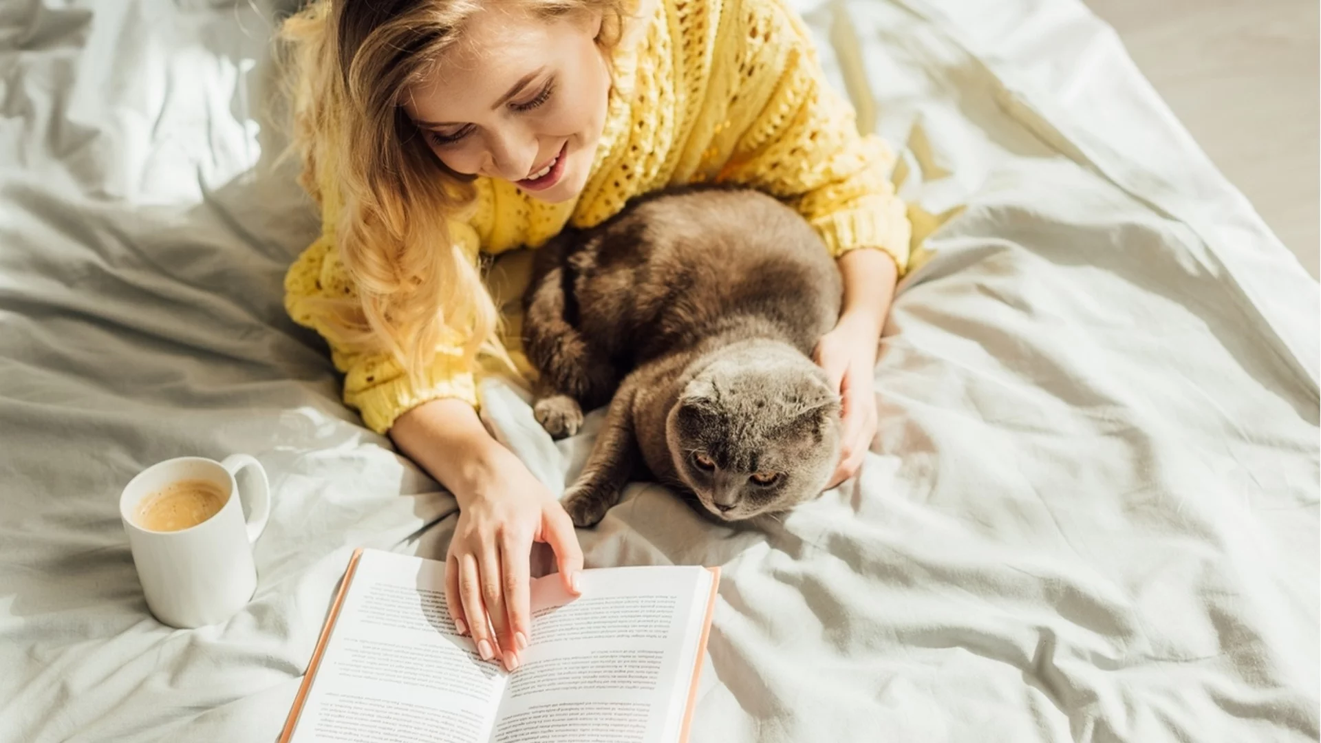 Прогноза за времето - 15 юни 2024 г. (събота)